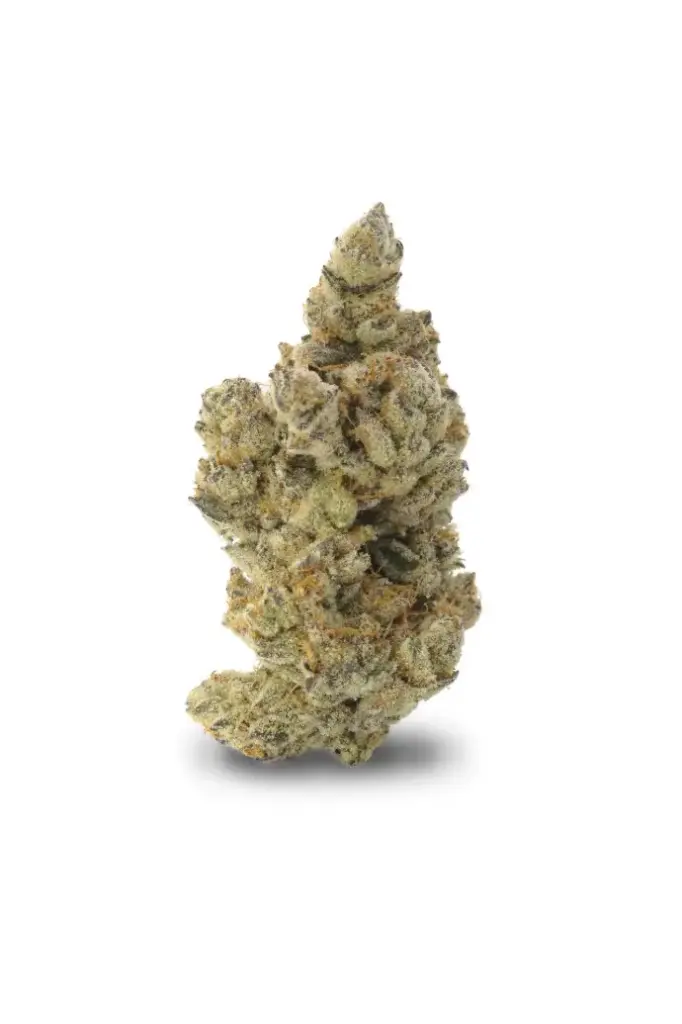 HAMMOCK HIPPY PR3X0.5G