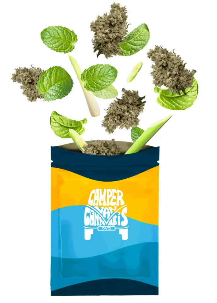 KHALIFA MINTS PR3X0.5G