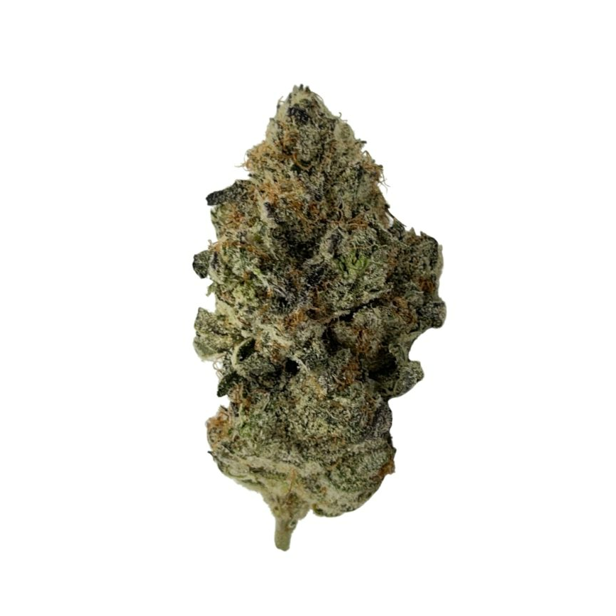 BOARDWALK DREAMS PR3X0.5G