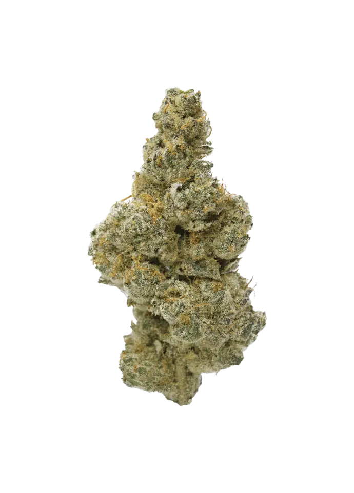 CAMPFIRE GAS PR3X0.5G