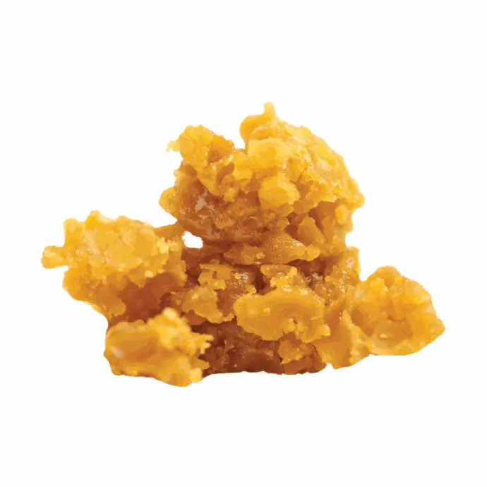 WAX INDICA