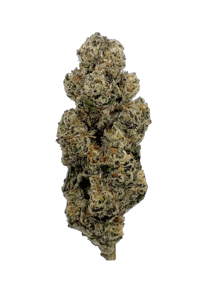 GRAPE STANK 7G