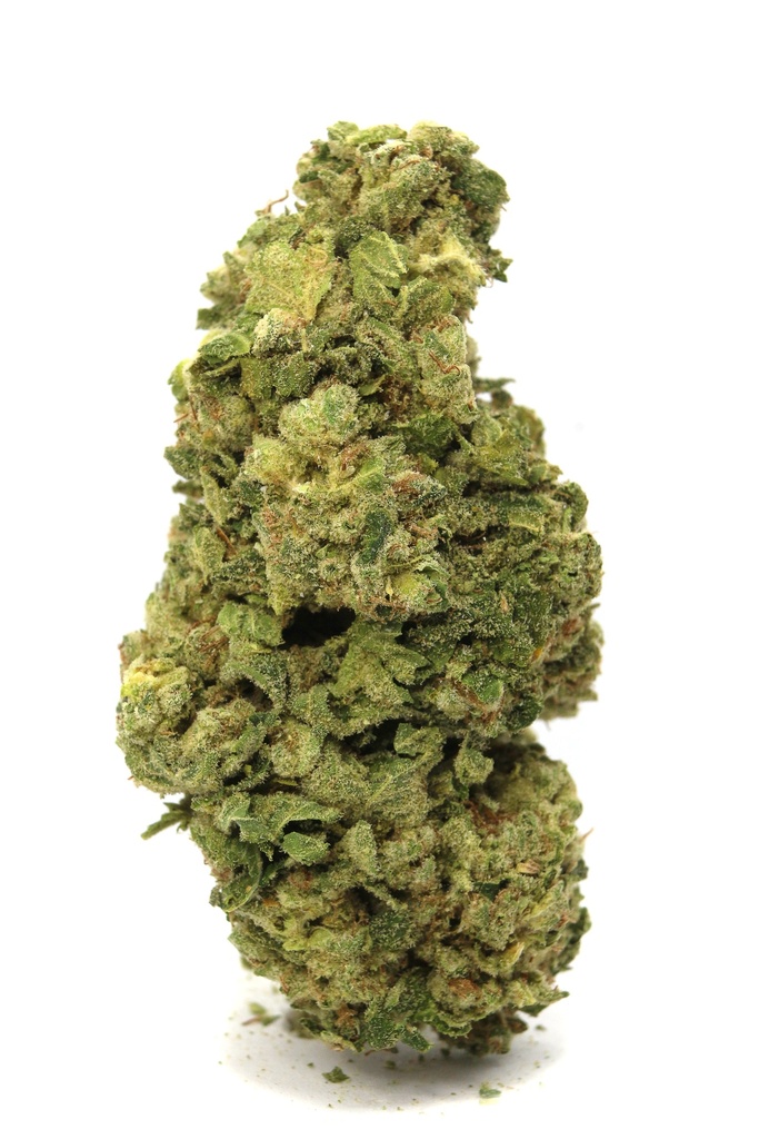 CALIFORNIA DREAMIN PR12X0.5G