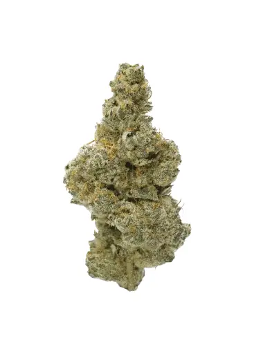 CAMPFIRE GAS 7G