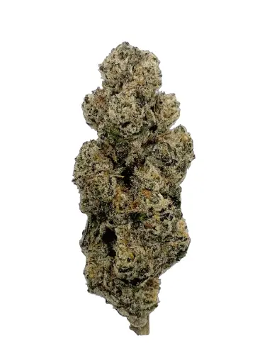 GRAPE STANK HALF QUAD 3.5G