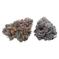 DAY & NIGHT DUO PACK