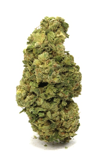 CALIFORNIA DREAMIN PR12X0.5G